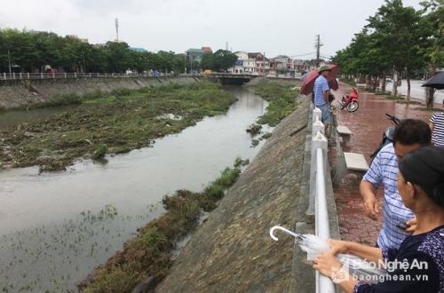Kênh Bắc. Ảnh: Nam Phúc