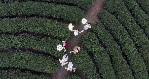 Ngắm nhan sắc thí sinh HHVN thả dáng ở đồi chè Thanh Chương