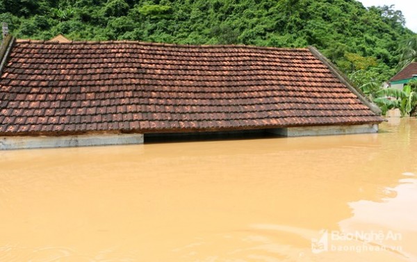 Nghệ An Lũ ngập đến nóc nhà dân trong ngày nắng 1