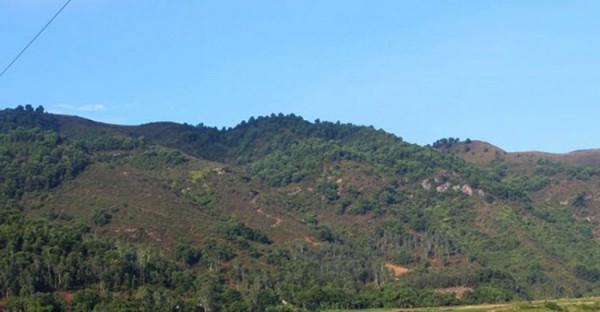 Người đàn ông mất tích khi lên núi khi đi chặt cây rành rành