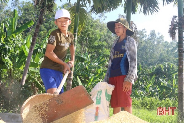Mồ côi cả cha lẫn mẹ, hai anh em Trần công Duy (bên phải) và Trần Công Lý phải gánh vác hết công việc lớn nhỏ trong nhà