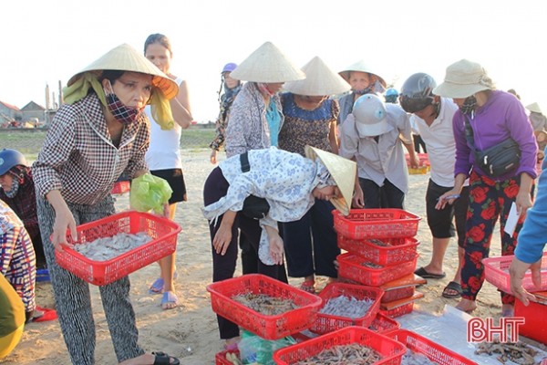 Thuyền cập bến, mực đầy khoang, ngư dân Hà Tĩnh thêm vui
