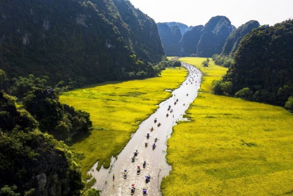 Cánh đồng lúa ở Tam Cốc vào mùa đẹp nhất trong năm