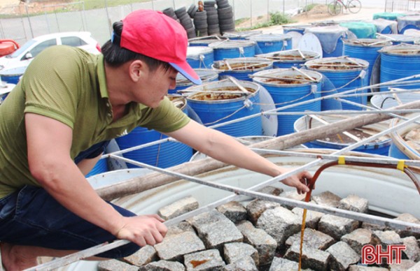 Hà Tĩnh hỗ trợ hơn 39 tỷ đồng đầu tư hạ tầng, trang thiết bị cho HTX