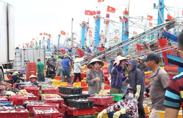 Đưa nghề cá Nghệ An gia nhập 'sân chơi chung'