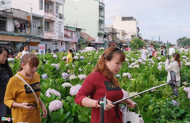 Những lần Đà Lạt 'khốn khổ' vì khách du lịch quá tải, ý thức kém