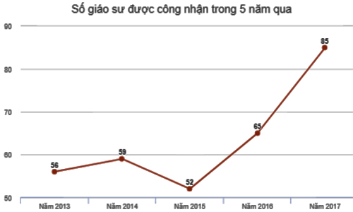 Nhiều hội đồng ngành không phát hiện sai sót hồ sơ ứng viên giáo sư