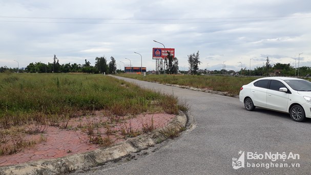 Khu tái định cư xóm 10, xã Nghi Liên đang bỏ hoang, cỏ mọc um tùm. Ảnh: Thảo Nguyên