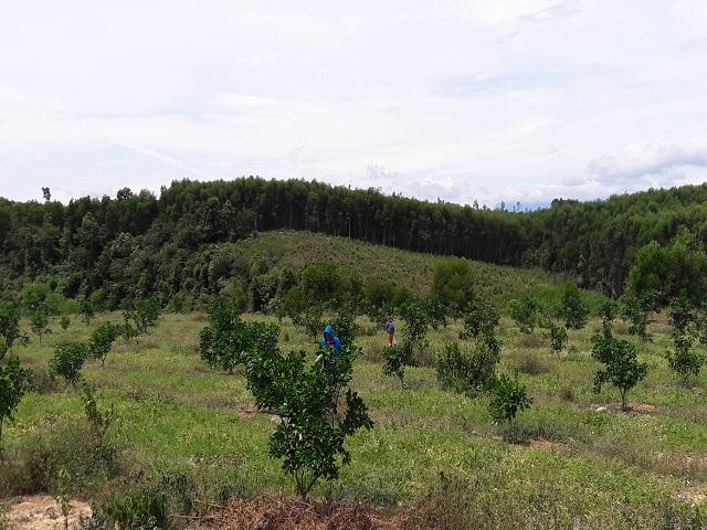 20190616 103409 1560762943 width640height480