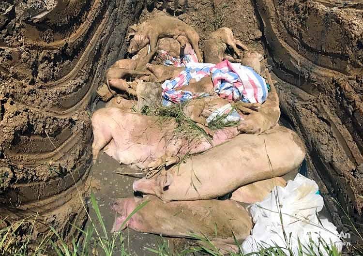 bna tieu huyloi ta chau phi6760349 862019