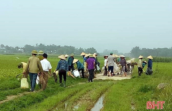Hàng nghìn nông dân Hà Tĩnh ra quân làm sạch môi trường